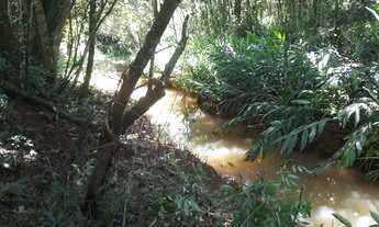 Imagem 5: Vendo chácara em crucilandia povoado cachoeira