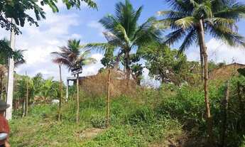 Imagem 6: Terreno em Preda alta/cabuçu