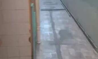 Imagem 4: Casa 150m² à venda no Parque dos Bancários, São Paulo