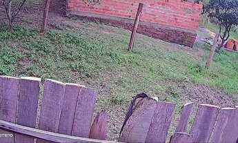 Imagem 2: Terreno Barbadinha