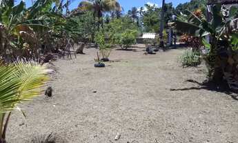 Imagem 3: Vendo chácara Casa com 2 dormitórios