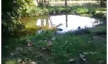 Imagem 3: Sítio Chácara com venda por R$280.000