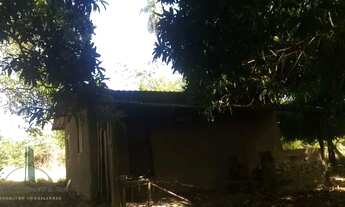 Imagem 5: Excelente oportunidade de com mais de 100 Hectares em Vila Rica - MT