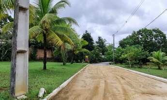 Imagem 7: Lotes 51 e 52 do condomínio BounganviIIe. Recife-PE caminho de Aldeia