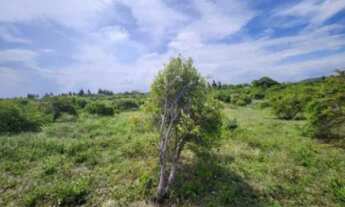 Imagem 6: Lote Residencial com 9.000m² de terreno - Santa Maria, Aracaju