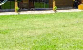 Imagem 2: Chácara em Imbituba localizada no bairro Araçatuba, á 600 metros até a lagoa de Ibiraquera