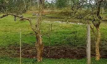 Imagem 6: Sítio,1 hectare, com uma vista para nascer do sol