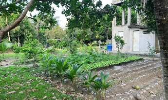 Imagem 7: Vende - se Sítio com piscina e área externa para lazer e Casa!