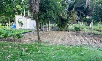 Imagem 4: Vende - se Sítio com piscina e área externa para lazer e Casa!