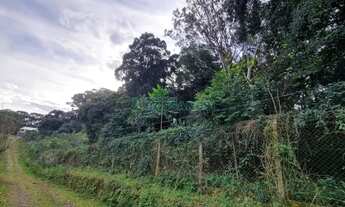 Imagem 6: Terreno Pedancino Caxias do Sul