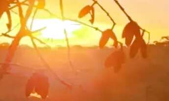 Imagem: Vendo tereno de chácara na ponte alta próximo