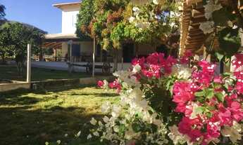 Imagem 6: Fazenda em Claros dos Porções