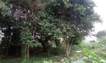 Imagem 7: Terreno com 456m2 a venda no Santinho - Florianópolis/SC