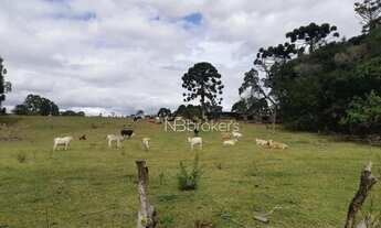 Imagem 2: Chácara à venda, 43000 m² por R$ 990.000,00 - Centro - Araucária/PR