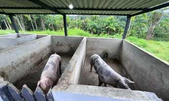 Imagem 5: Sítio na AM-010, totalmente equipada R$ 850mil