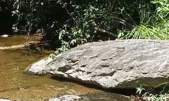 Imagem 2: Chácara Chácara com venda por R$150.000