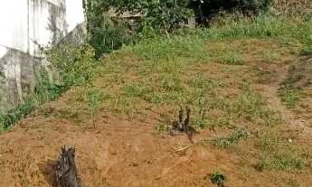 Imagem 2: TERRENO NO BAIRRO MIRAMAR