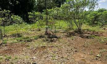 Imagem: Rural Chácara em São José do Rio Preto