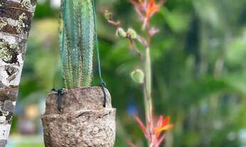 Imagem 3: CASA TEMPORADA em ARRAIAL D'AJUDA - BA, ARRAIAL D´AJUDA