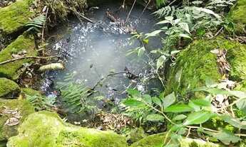 Imagem 7: Chácara na Mulada