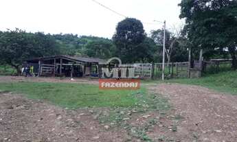 Imagem 7: Chácara 11 Alqueires (53,24 Hectares) Goias Velho - GO