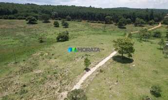 Imagem 7: FAZENDA À VENDA - 576 HECTARES - FELÍCIO DOS SANTOS (MG