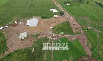 Imagem 2: Imóvel para venda com metros quadrados em Área Rural de Nova Mutum - Nova Mutum - MT