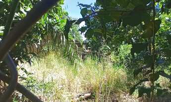 Imagem 7: Vende área próximo Anhanguera, Matão Sumaré,SP