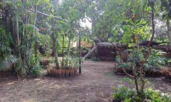 Imagem 7: CASA TIPO SITIO EM AGUAS LINDAS COM 3 QUARTOS E GRANDE AREA FRUTIFERA ACEITO PARCELAMENT