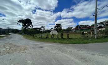Imagem 3: Vendas Terreno Campo Largo PR