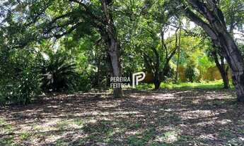 Imagem 5: Área à venda, 40000 m² por R$ 8.000.000,00 - Maiobinha - São Luís/MA