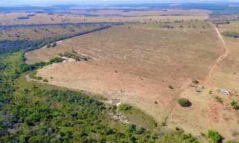 Imagem 6: Fazenda 974 hectares área total localizada em Serranópolis-GO