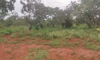 Imagem 6: Vendo ótima chácara no assentamento pequeno willian