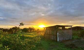 Imagem 5: Excelente sítio de 3 tarefas com casa de 4/4 e arvores frutíferas diversas próxima a BA