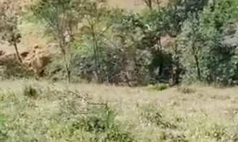 Imagem 2: Terreno a venda Cabangu..