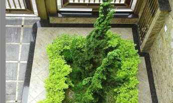 Imagem 3: CASA ASSOBRADADA - VILA ANTONIETA - SP