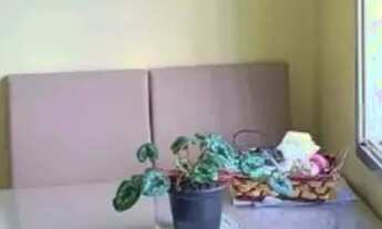 Imagem: Apartamento 1 dormitório com vaga Bairro