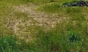 Imagem 4: Terreno exelente contruir