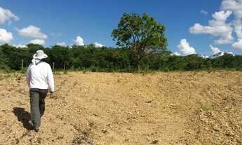 Imagem 7: Chácara com 1,2 hectares