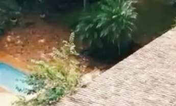 Imagem 4: Chácara na Vagem Bonita