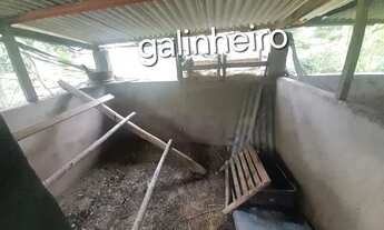 Imagem 2: Excelente Sítio com mais de 450 pés de laranja à uma Hora do Rio de Janeiro