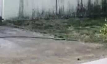 Imagem 2: Casa no Parque das Nações