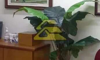 Imagem 2: Centro Galpão / depósito com venda por R$400.000