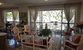 Imagem 7: MOEMA PASSAROS FORA DA ROTA DE AVIÕES