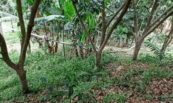 Imagem 6: Terreno Rural com Vista Mar