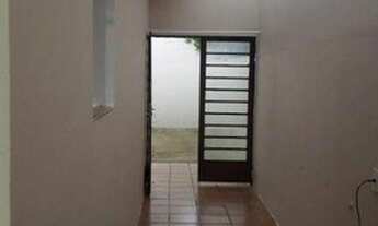 Imagem 4: ASSOBRADADA PIRITUBA