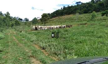 Imagem 6: Fazenda com 5 dormitórios à venda, 1100000 m² em - Argirita/MG
