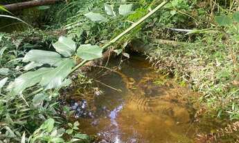 Imagem 4: Chácara plaina rica em água apenas 153 mil reais