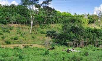 Imagem 7: Vendo Área (sitio) na Estrada da Cabrita - São Cristóvão-Se