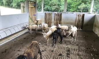 Imagem 3: Fazenda à venda em Joinville/SC